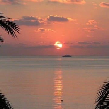 Ảnh đại diện người dùng Lan